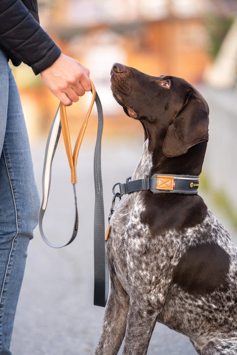 Seleverkstedet Link Hundkoppel – 250 cm