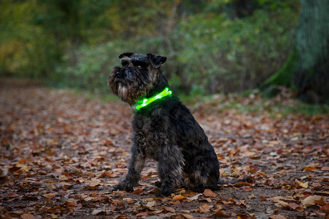 Dogman Blinkhalsband LED Grå