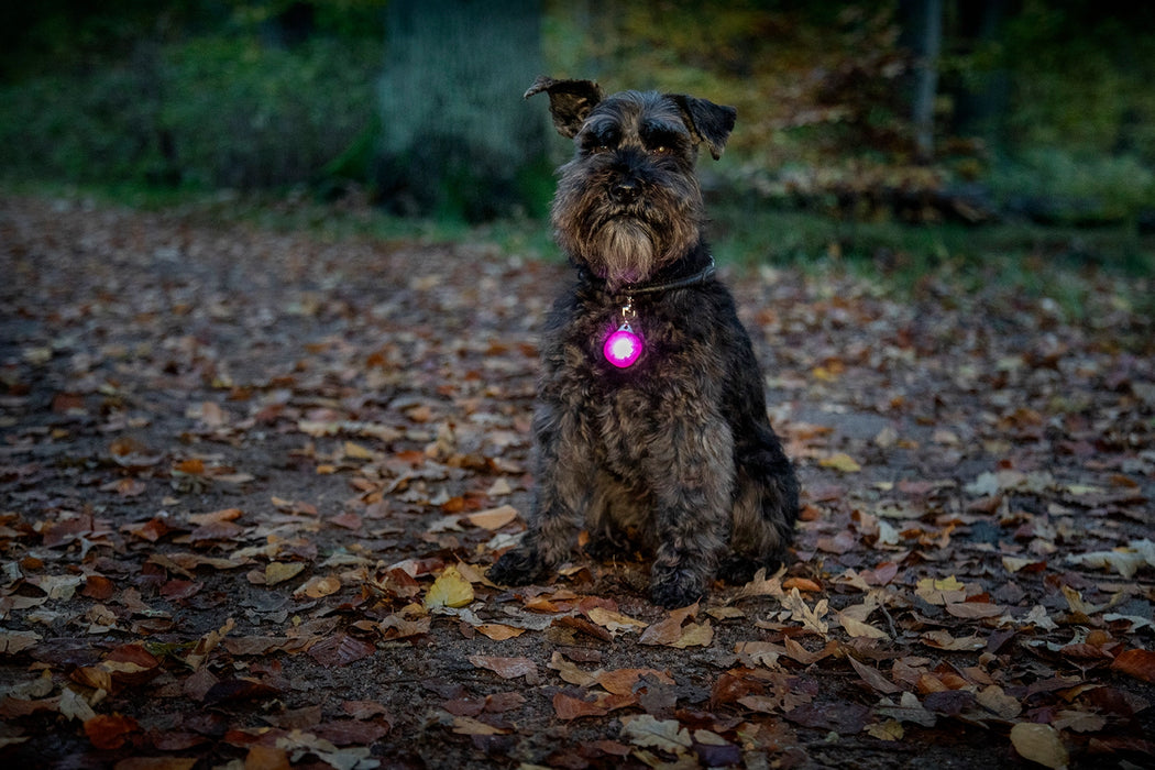 Dogman Blinklampa Burger LED Rosa