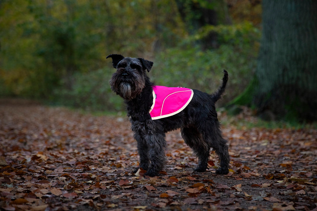 Dogman Reflekterande Väst Rex Rosa