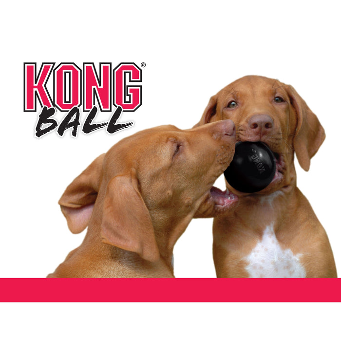 Kong Ball Extreme Hundleksak