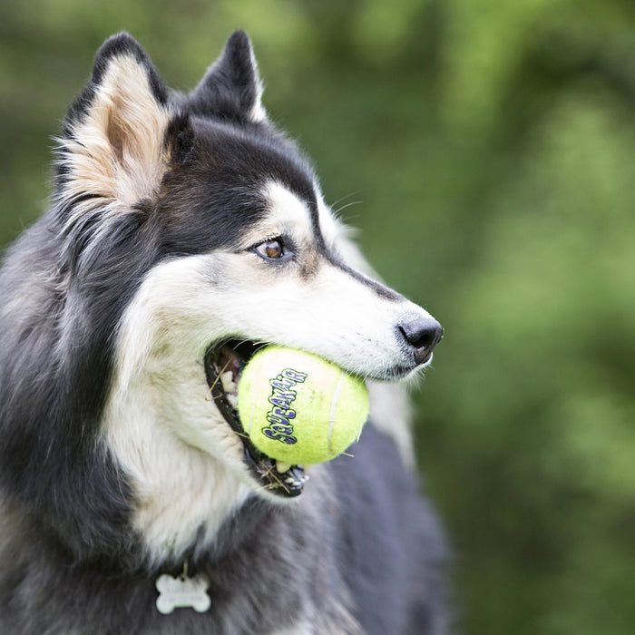 Kong Leksak SqueakAir Ball