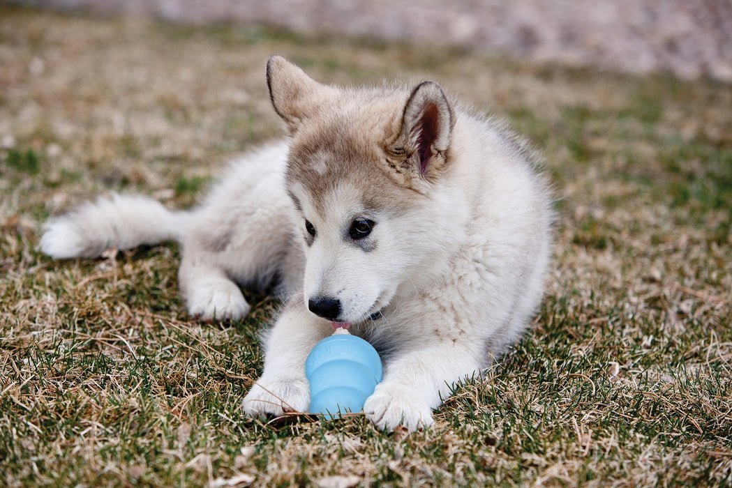 KONG Leksak Kong Puppy