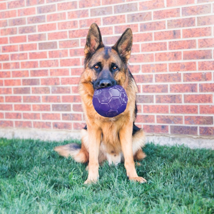 KONG Leksak Flexball