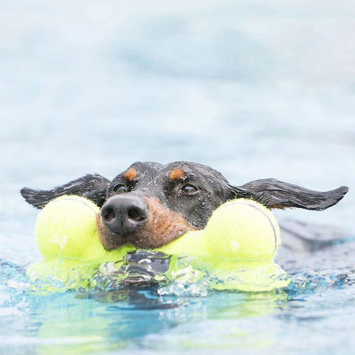 KONG Leksak AirDog Squeaker Bone