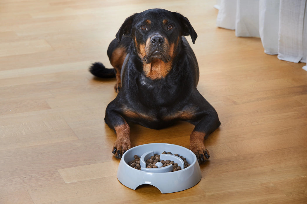 Dogman Alva Slow Feed Matskål Grå