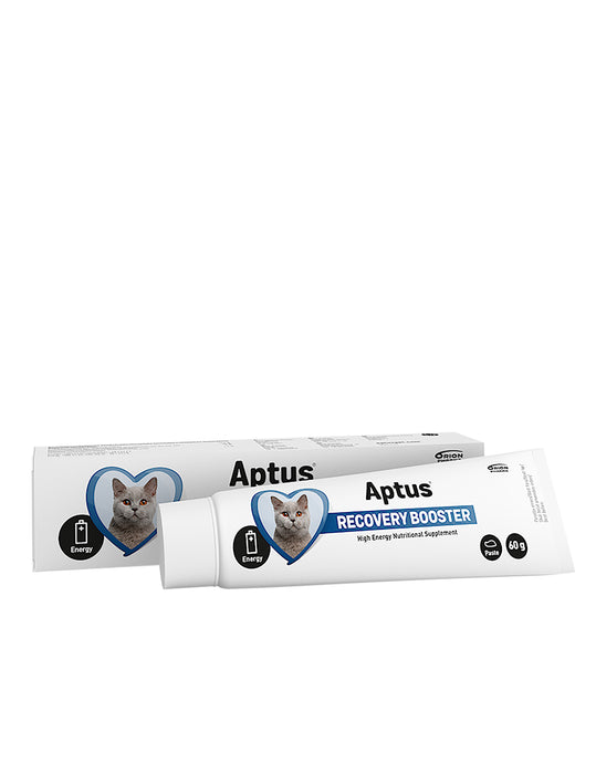 Aptus Cat Recovery Booster