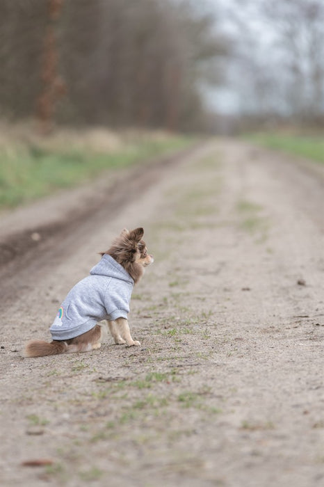 Hundhoodie Rainbow Falls med andningsbart polyestermaterial, värmande lurvig insida, huva med tryckknappar för fästning och kardborrefäste för justerbar passform.