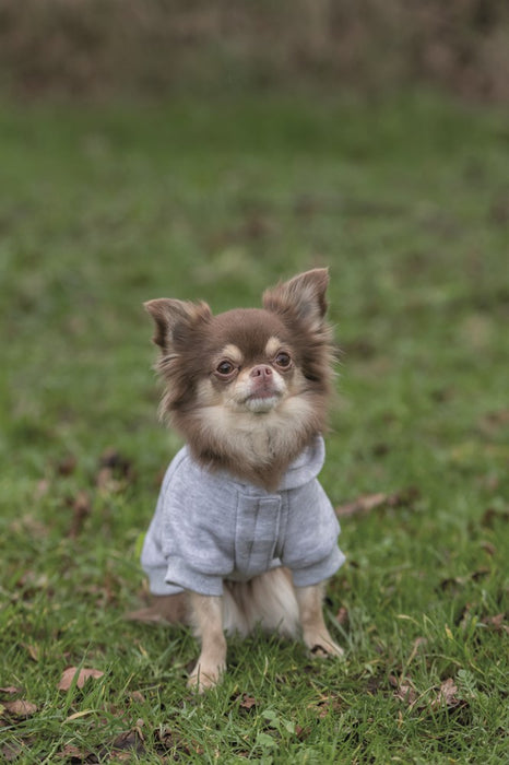 Hundhoodie Rainbow Falls med andningsbart polyestermaterial, värmande lurvig insida, huva med tryckknappar för fästning och kardborrefäste för justerbar passform.